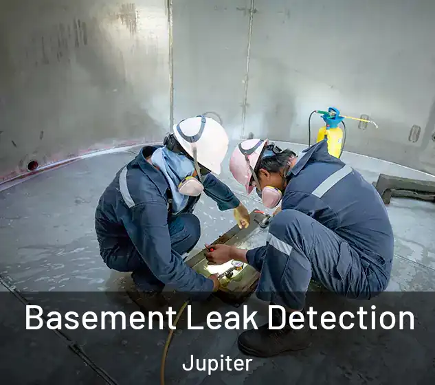  Basement Leak Detection Jupiter