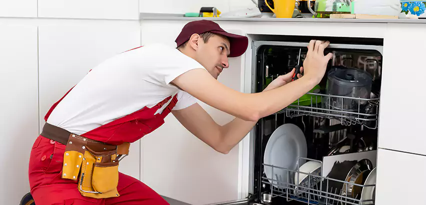 Scope of Kitchen Dishwasher Installation Services in Jupiter, FL