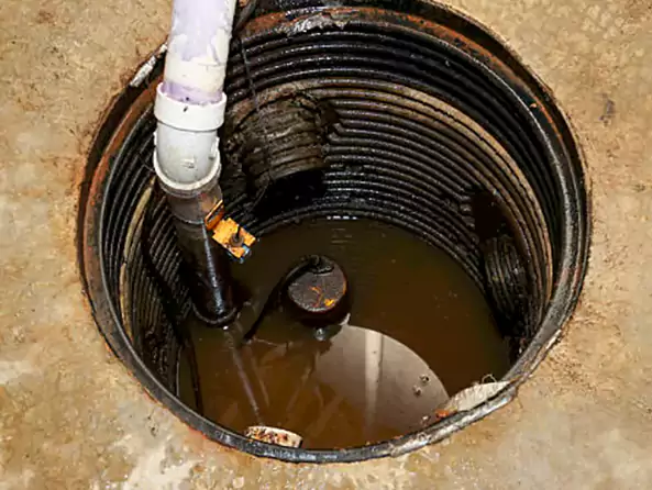 Why Plumbing Jupiter is the First Choice for Sump Pump Maintenance Services in Jupiter, FL?