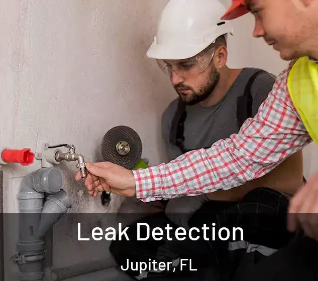  Leak Detection Jupiter, FL