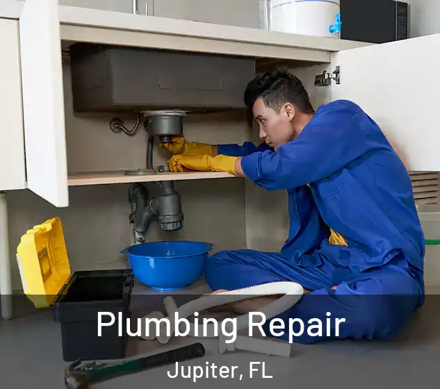  Plumbing Repair Jupiter, FL
