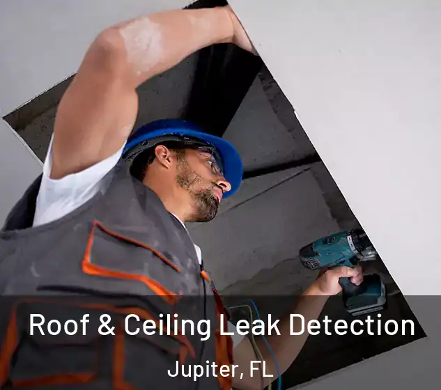  Roof & Ceiling Leak Detection Jupiter, FL