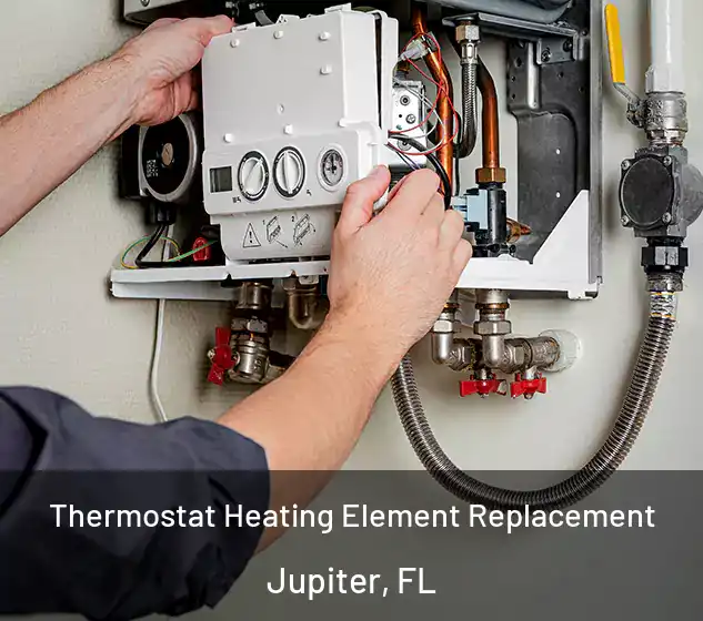  Thermostat Heating Element Replacement Jupiter, FL