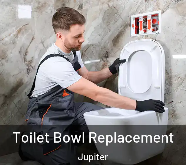  Toilet Bowl Replacement Jupiter