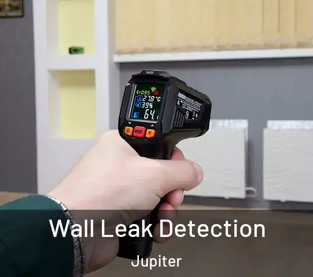  Wall Leak Detection Jupiter