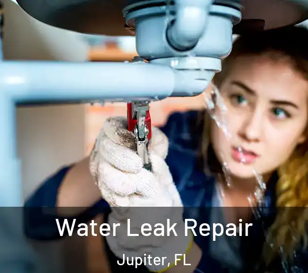  Water Leak Repair Jupiter, FL